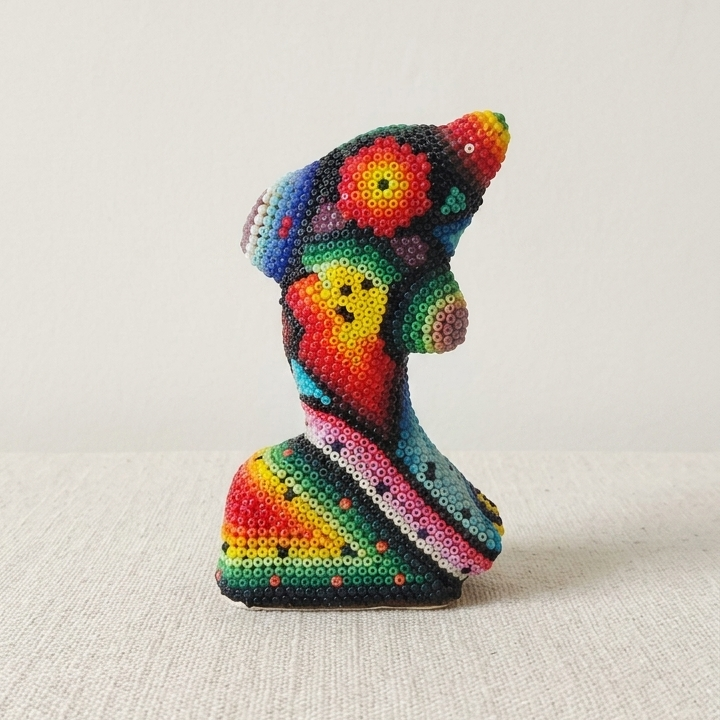 Delfín de Colores