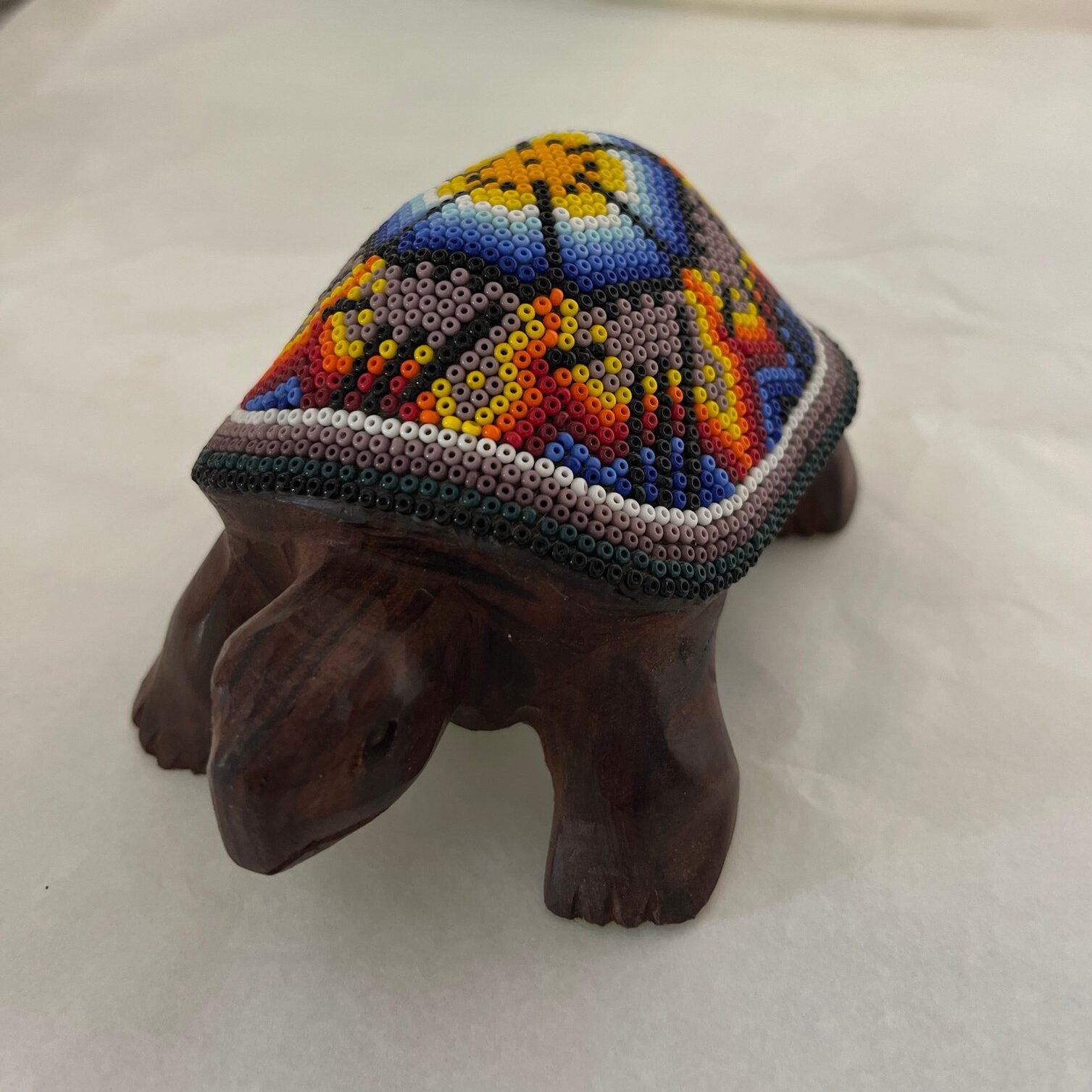 Tortuga de Palo Fierro