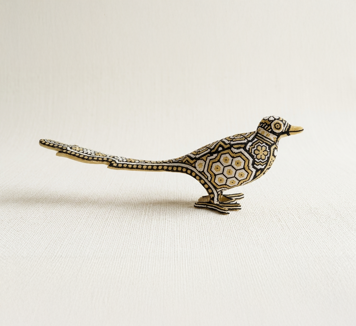 Pájaro de Cola Larga